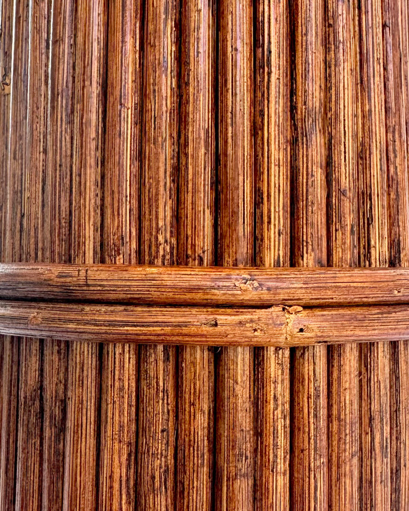 Rattan Palm Floor Lamp - One of a Kind